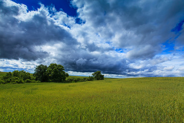 Fototapeta na wymiar Rural scenery with storm clouds in summer