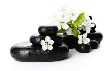 Spa stones and white flowers isolated on white