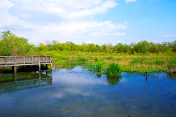 White Lake at Cullinan Park in sugarland Texas