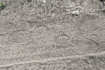 Footprints in the dust