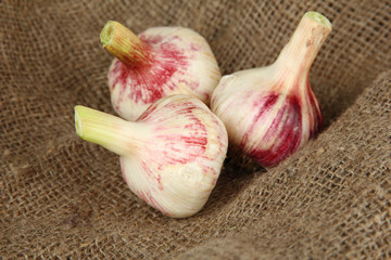 Fresh garlic, on sackcloth background