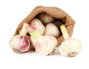 Fresh garlic in sackcloth bag, isolated on white