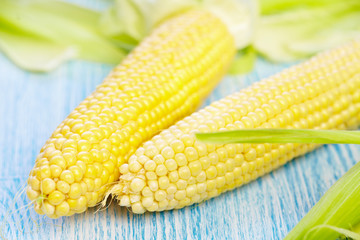 Fresh corn on blue wooden table