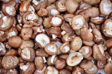 Pilze
