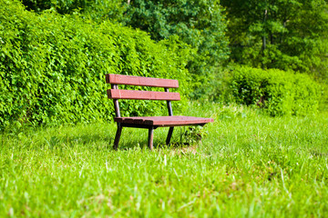 Lonely bench in the park