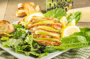 Apple cranberry chicken salad