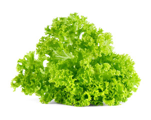 Fototapeta premium Fresh green lettuce salad isolated on white background.