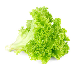 Fresh green lettuce  salad isolated on white background.