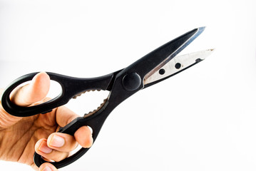 cutting scissor - black scissor