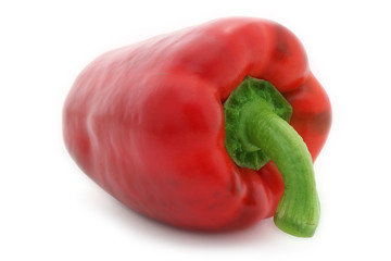 poivron