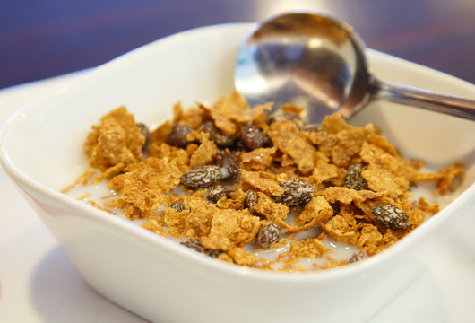 Rasin Bran in Bowl with Milk