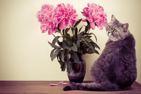 Cat and flowers bouquet in vase on wooden table