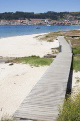 puente de madera sobre playa