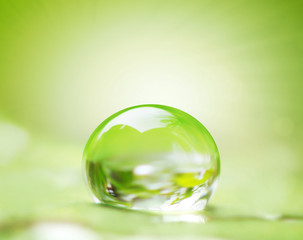 green leaf and water drop