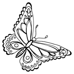 butterfly