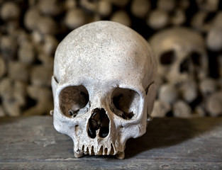Human skulls