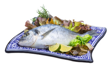 Fresh raw dorada