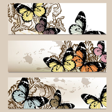 Set of vector  backgrounds with butterflies for design