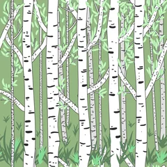 Papier Peint photo Oiseaux dans la forêt forêt