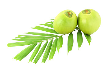 Green coconuts and leaf on white background.