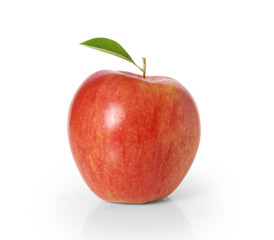 apple  on white background