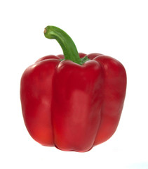 Red sweet pepper over white background