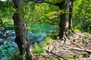 Lake in Plitvice National Park, Croatia
