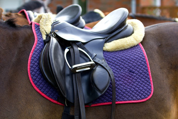 Saddle with stirrups on a back of a horse - obrazy, fototapety, plakaty
