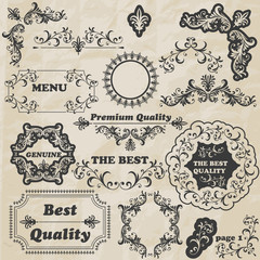 Vector Floral Design Elements