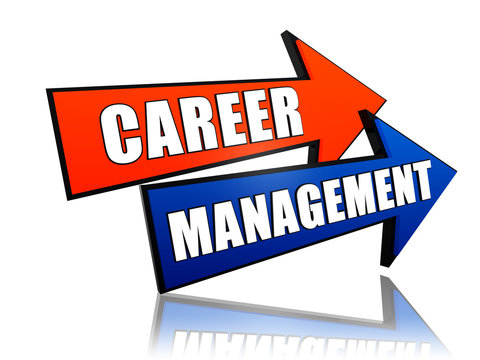 career management in arrows