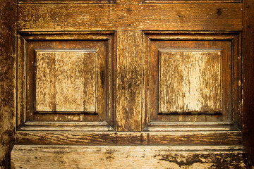 texture of wood background