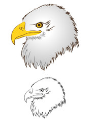Eagle head
