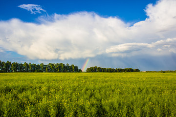 Landscape with a Rainbow