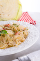 tasty braised cabbage vegetables