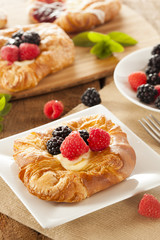 Homemade Gourmet Danish Pastry