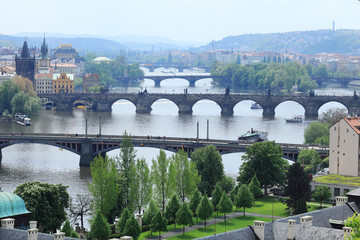 Naklejka premium Spring Prague Bridges, Czech Republic