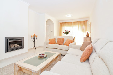 Bright modern living room with a fireplace for heating. In the w
