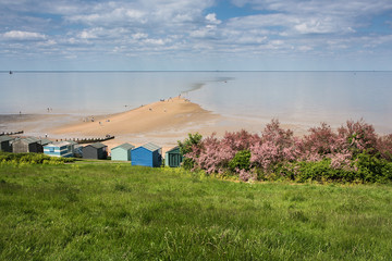 Whitstable Street