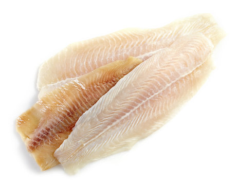various fresh raw fish fillet
