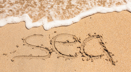 Word Sea Written in the Sand on a Beach