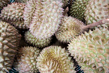Naklejka na ściany i meble Durian, king of fruit, famous fruit in Thailand