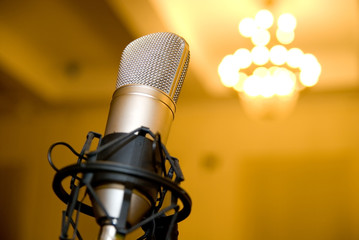 Microphone in the conference hall.