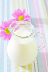 Obraz na płótnie Canvas milk in jug