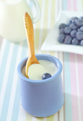 yogurt with blueberry