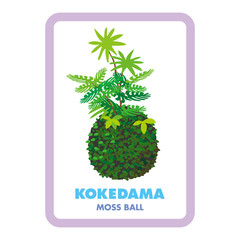 kokedama