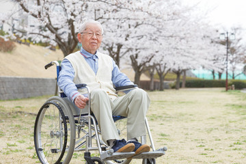 Fototapeta premium 車いすのシニア