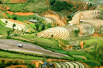 Rice Terraces in Northern of Vietnam