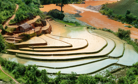Rice Terraces in Northern of Vietnam
