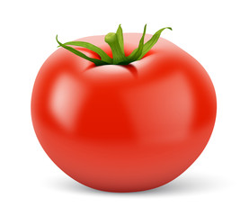 Tomate vectorielle 1