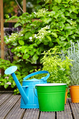 concept of gardening and hobby